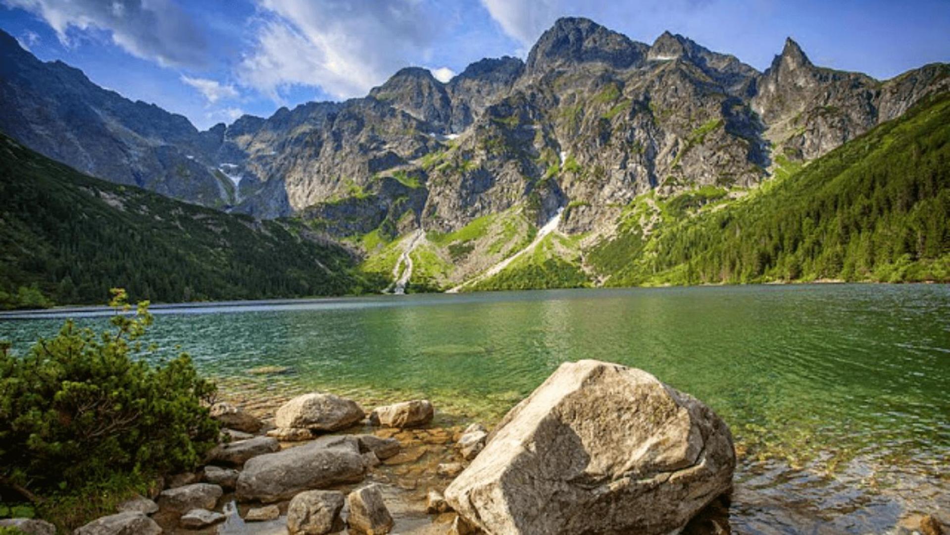 Apartament Krupowki 36/8 Zakopane Dış mekan fotoğraf